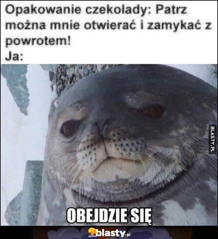 Opakowanie czekolady: patrz można mnie otwierać i zamykać z powrotem, ja: obejdzie się