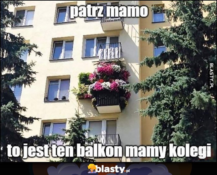 Patrz mamo, to jest ten balkon mamy kolegi