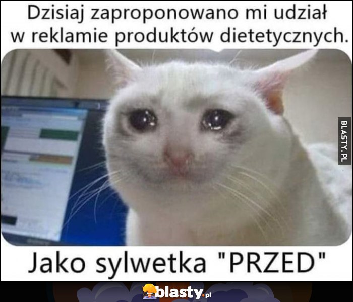 Dzisiaj zaproponowano mi udział w reklamie produktów dietetycznych jako sylwetka 