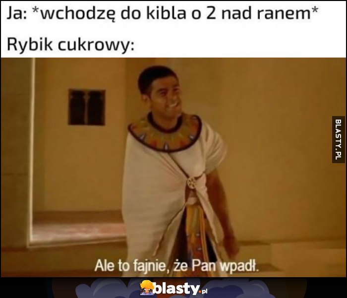 Ja: wchodzę do kibla o 2 nad ranem, rybik cukrowy: ale to fajnie, że Pan wpadł