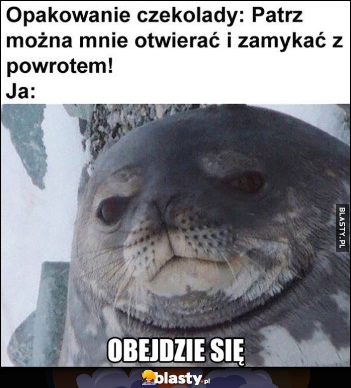 Opakowanie czekolady: patrz można mnie otwierać i zamykać z powrotem. Ja: obejdzie się gruba foka