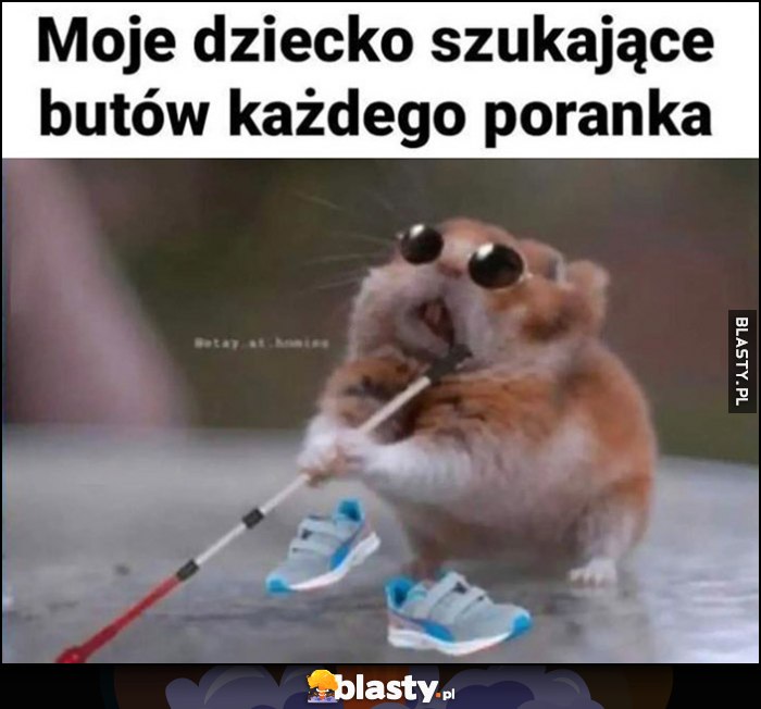 Moje dziecko szukające butów każdego poranka niewidome