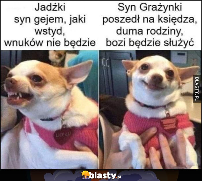 Pies piesek syn Jadźki jest gejem, jaki wstyd wnuków nie będzie, syn Grażynki poszedł na księdza, duma rodziny, bozi będzie służyć