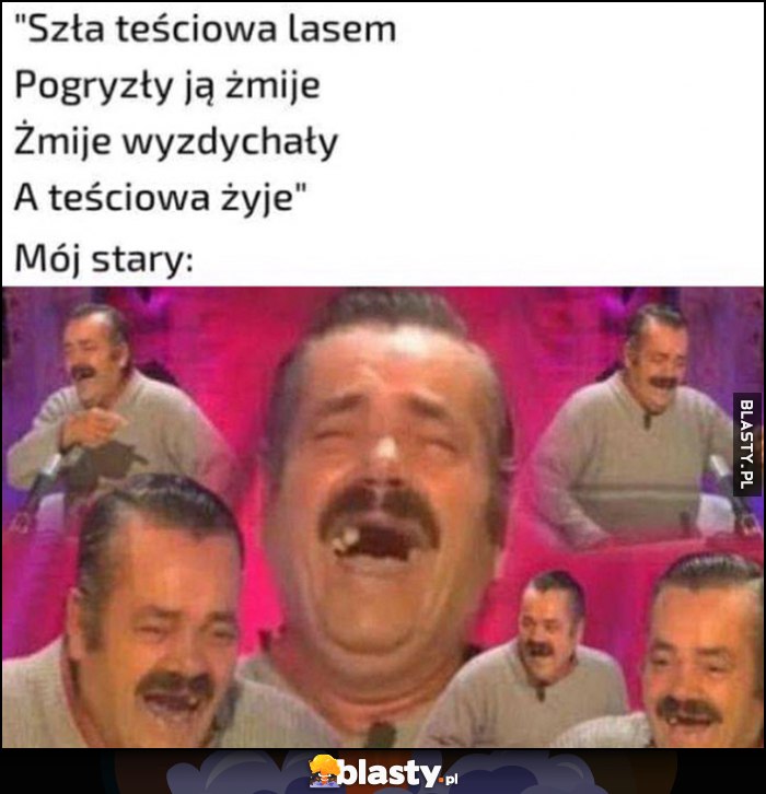 Szła teściowa lasem, pogryzły ją żmije, żmije wyzdychały, a teściowa żyje. Mój stary rozbawiony śmieje się