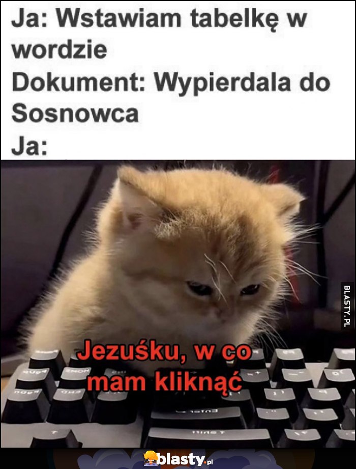 Ja: wstawiam tabelkę w Wordzie, dokument: wypierdziela do Sosnowca, Ja kotek: Jezuśku, w co mam kliknąć