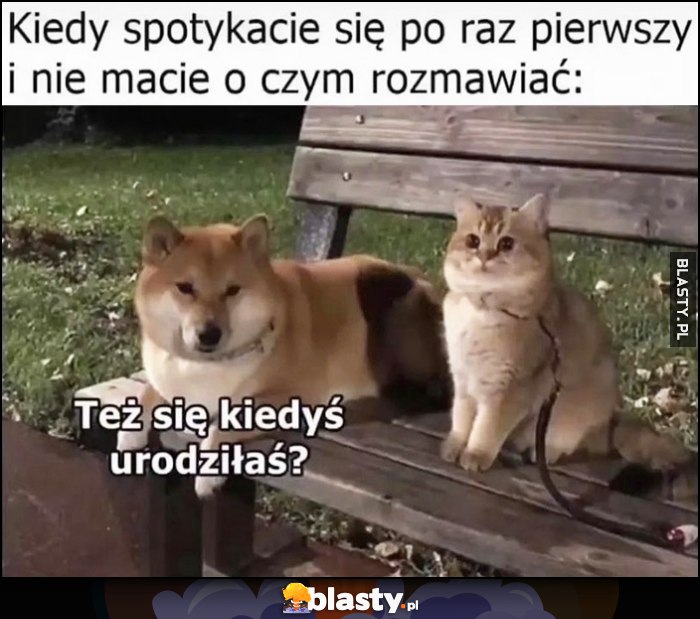 Kiedy spotykacie się po raz pierwszy i nie macie o czym rozmawiać pies i kot: też się kiedyś urodziłaś?