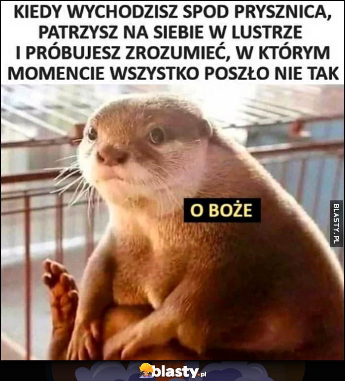 Kiedy wychodzisz spod prysznica patrzysz na siebie w lustrze i próbujesz zrozumieć, w którym momencie wszystko poszło nie tak o Boże