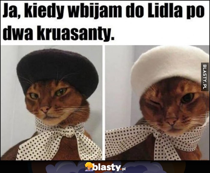 Ja, kiedy wbijam do Lidla po dwa kruasanty kot kotek