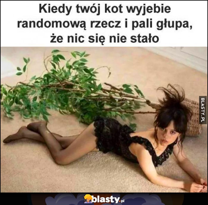 Kiedy Twój kot wywali randomową rzecz i pali głupa, że nic się nie stało Jenna Ortega