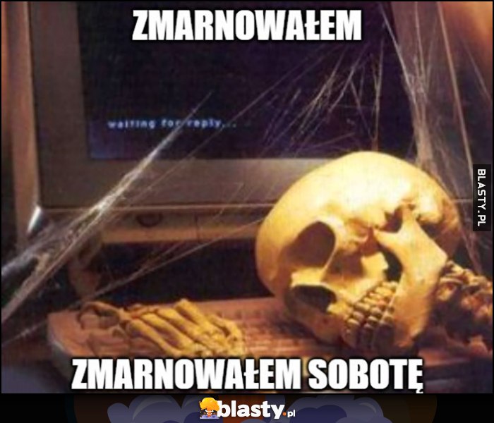 Zmarnowałem sobotę szkielet kościotrup