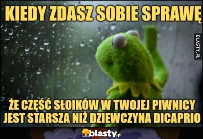 Kermit kiedy zdasz sobie sprawę, że część słoików w Twojej piwnicy jest starsza niż dziewczyna DiCaprio