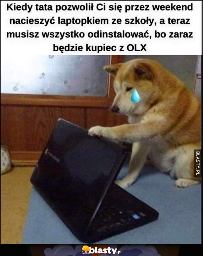 Kiedy tata dał Ci laptopa, a teraz musisz wszystko odinstalować bo zaraz będzie kupiec z OLX pies pieseł doge cheems płacze