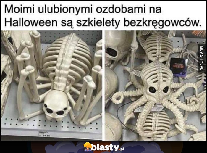 Moimi ulubionymi ozdobami na halloween są szkielety bezkręgowców