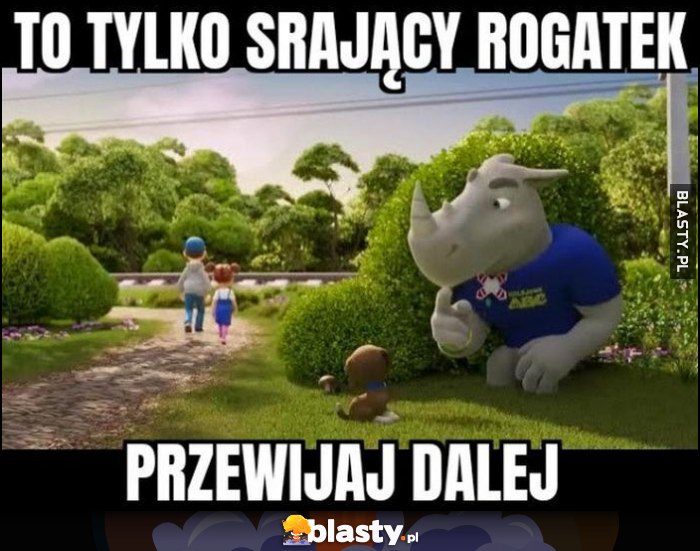 To tylko srający nosorożec Rogatek, przewijaj dalej