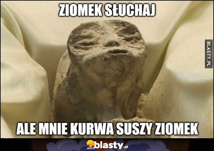 Ziomek słuchaj, ale mnie kurna suszy ziomek ufo obcy alien