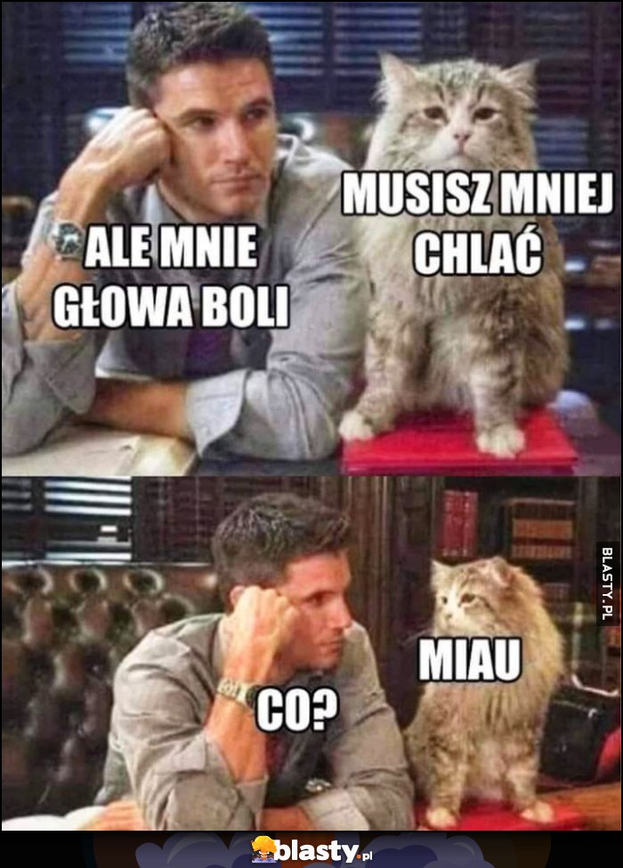 Ale mnie głowa boli, kot: musisz mniej chlać, co? Miau