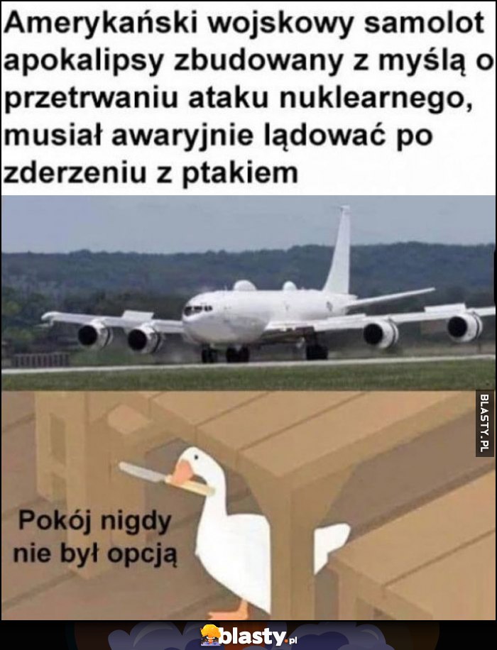 Amerykański samolot wojskowy apokalipsy mający przetrwać atak nuklearny musiał lądować awaryjnie po zderzeniu z ptakiem, pokój nigdy nie był opcją