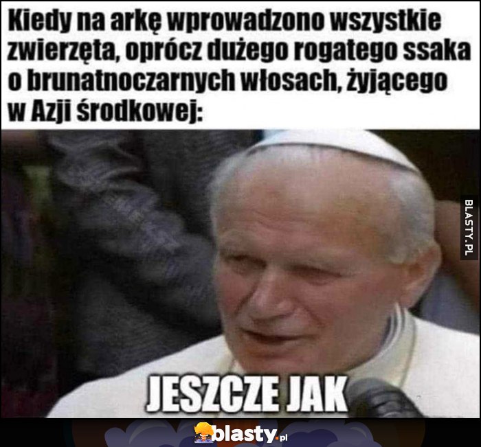 Kiedy na arkę wprowadzono wszystkie zwierzęta oprócz dużego rogatego ssaka o brunatnoczarnych włosach, żyjącego w Azji środkowej. Papież Jan Paweł II: jeszcze jak