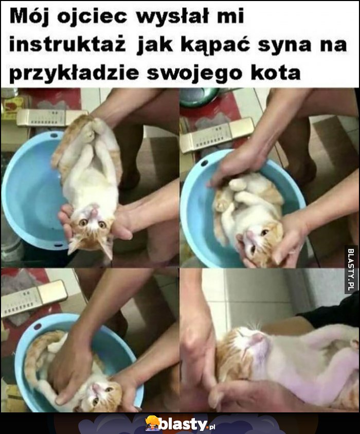 Mój ojciec wysłał mi instruktaż jak kąpać syna na przykładzie swojego kota