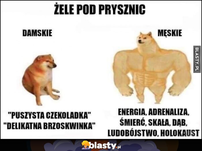 Żele pod prysznic damskie vs męskie porównanie nazw pies pieseł doge cheems