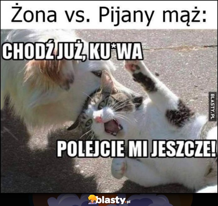 Żona vs pijany mąż: chodź już kurna, polejcie mi jeszcze pies kot