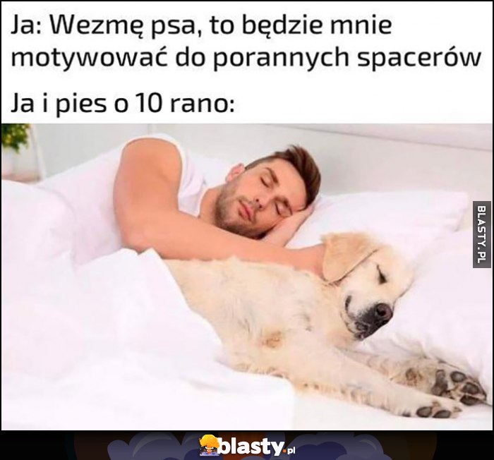 Ja: wezmę psa to będzie mnie motywować do porannych spacerów, ja i pies o 10 rano: śpią razem w łóżku