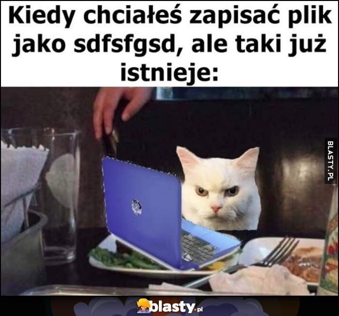 Kiedy chciałeś zapisać plik jako sdfsfgsd ale już taki istnieje zły kot