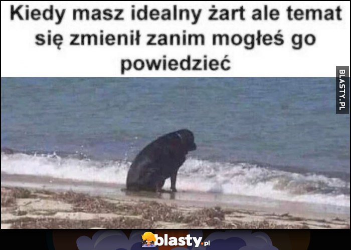 Kiedy masz idealny żart ale temat się zmienił zanim mogłeś go powiedzieć smutny pies patrzy w morze ocean