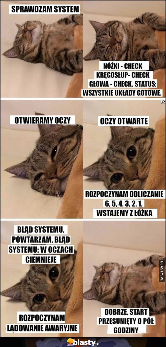 Kot kotek wstawanie pobudka: otwieram oczy, rozpoczynam odliczanie, błąd systemu, w oczach ciemnieje, rozpoczynam lądowanie awaryjne, start przesunięty o pół godziny