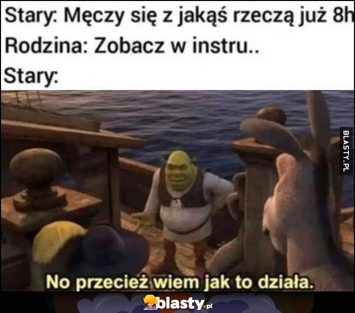 Stary Shrek: męczy się z jakąś rzeczą już 8 godzin, rodzina: zobacz w instrukcji, stary: no przecież wiem jak to działa