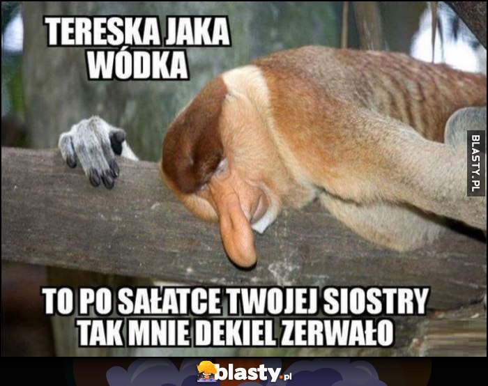 Tereska jaka wódka, to po sałatce twojej siostry tak mnie dekiel zerwało małpa nosacz