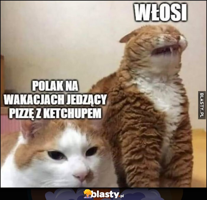 Włosi na widok polaka na wakacjach jedzącego pizzę z ketchupem kot krzywi się