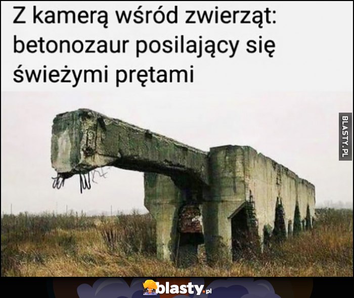 Z kamerą wśród zwierząt: betonozaur posilający się świeżymi prętami