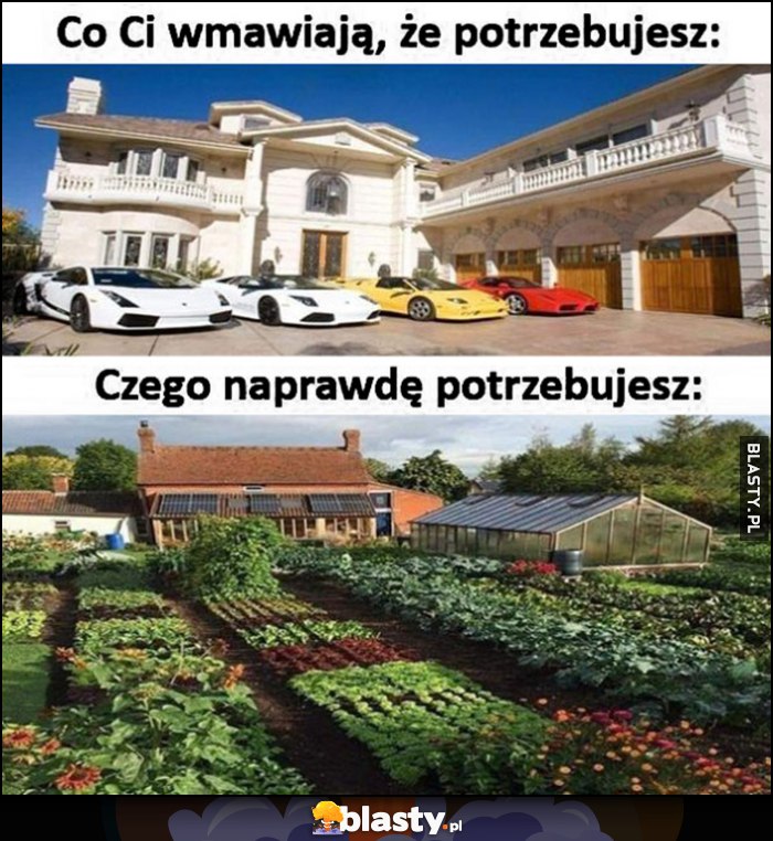 Co Ci wmawiają, że potrzebujesz: supersamochody Lambo Ferrari vs czego naprawdę potrzebujesz ogórek ogród szklarnia