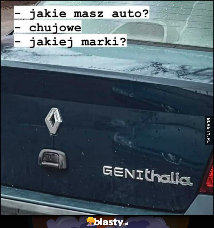 Jakie masz auto? Kijowe. Jakiej marki? Genithalia Renault Thalia