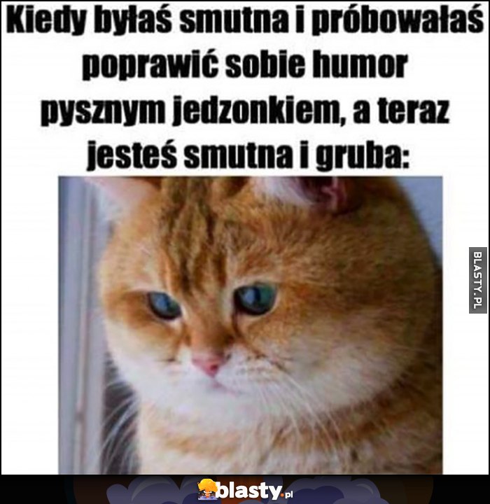 Kot kotek kiedy byłaś smutna i próbowałaś poprawić sobie humor pysznym jedzonkiem, a teraz jesteś smutna i gruba