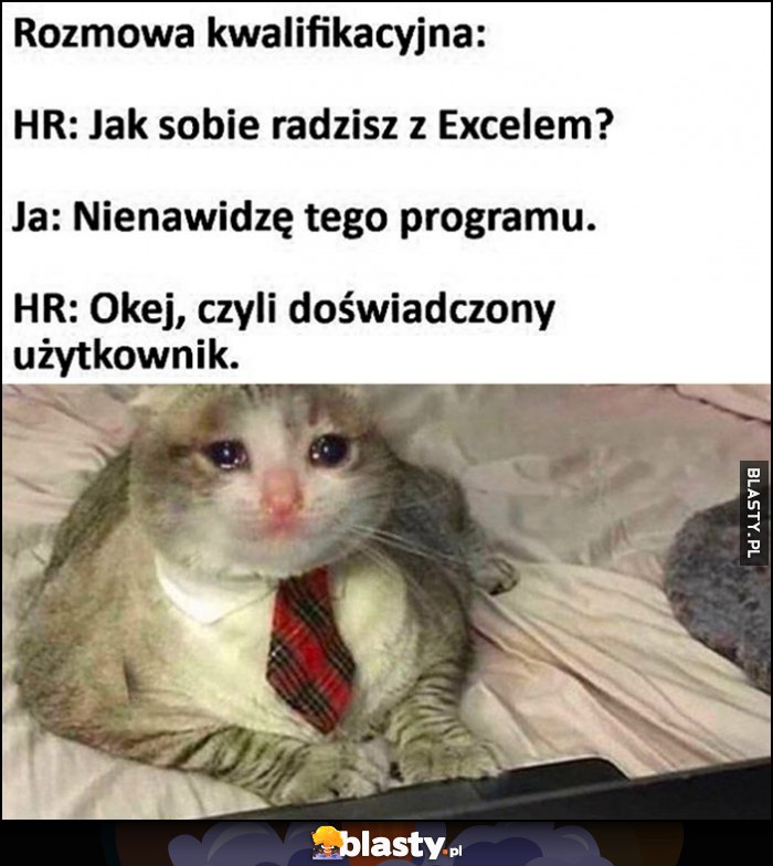 Rozmowa kwalifikacyjna: jak sobie radzisz z Excelem, nienawidzę tego programu, okej czyli doświadczony użytkownik smutny kot kotek