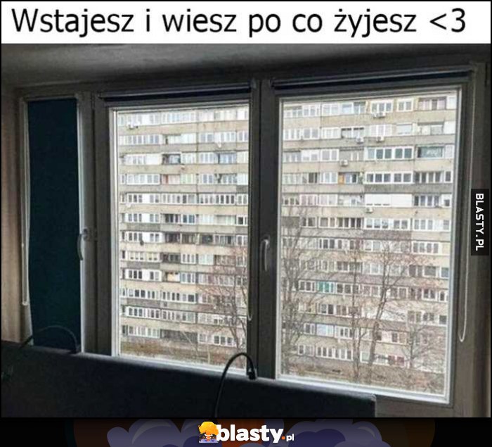 Wstajesz i wiesz po co żyjesz widok z okna na szary blok blokowisko