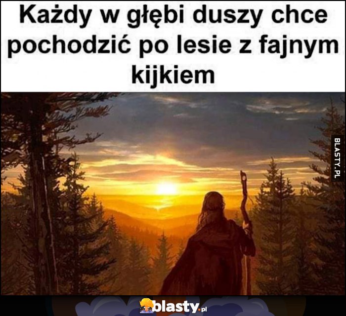 Każdy w głebi duszy chce pochodzić po lesie z fajnym kijkiem