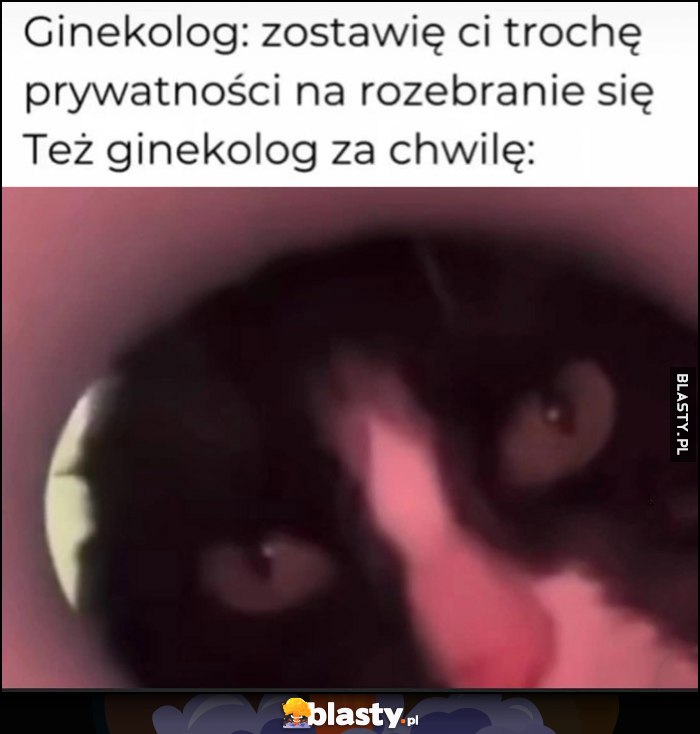 Kot ginekolog: zostawię ci trochę prywatności na rozebranie się vs też ginekolog za chwile zagląda do dziury