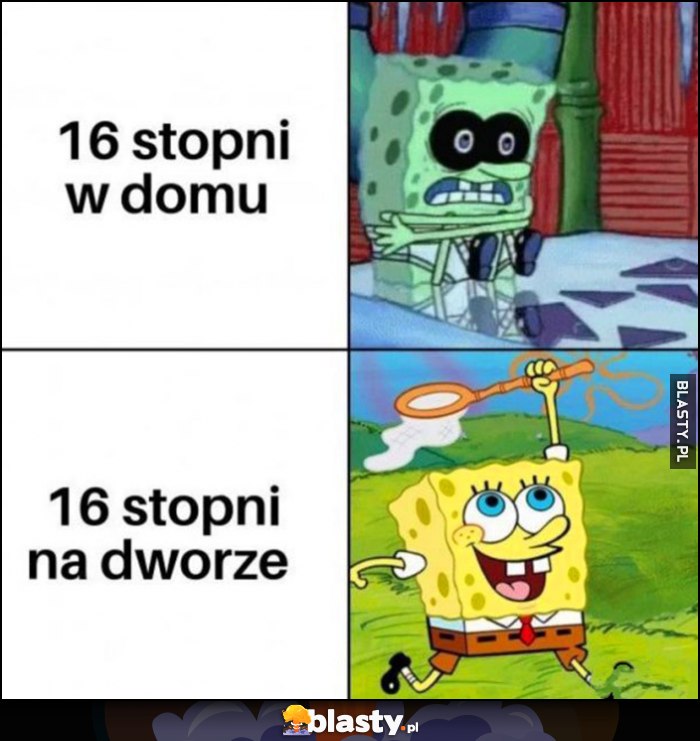 16 stopni w domu vs na dworze Spongebob porównanie