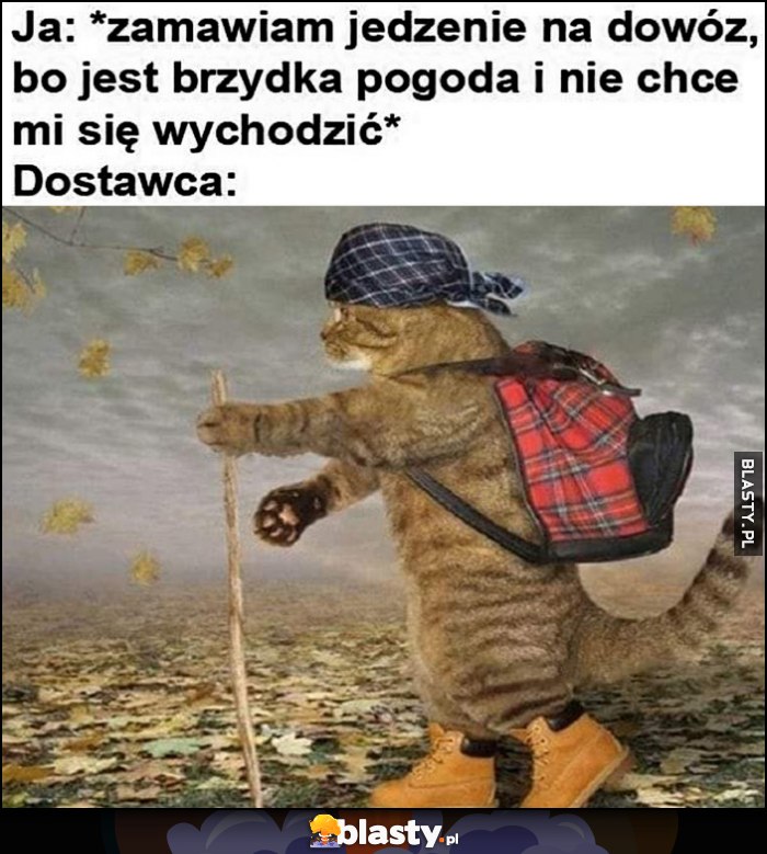 Ja: zamawiam jedzenie na dowóz, bo jest brzydka pogoda i nie chce mi się wychodzić. Dostawca: kot wyrusza w podróż