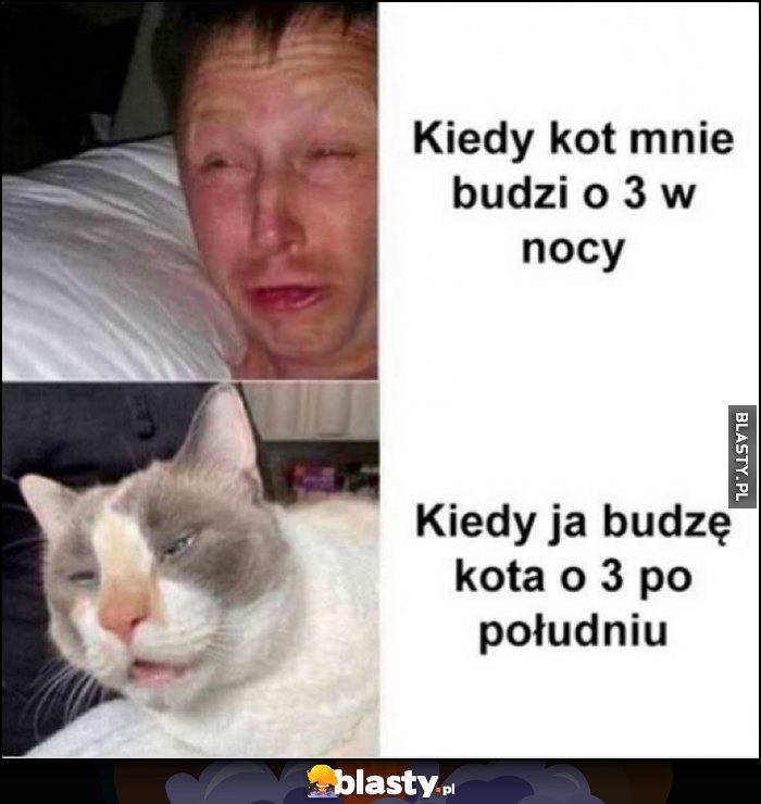 Kiedy kot mnie budzi o 3 w nocy vs kiedy ja budzę kota o 3 po południu