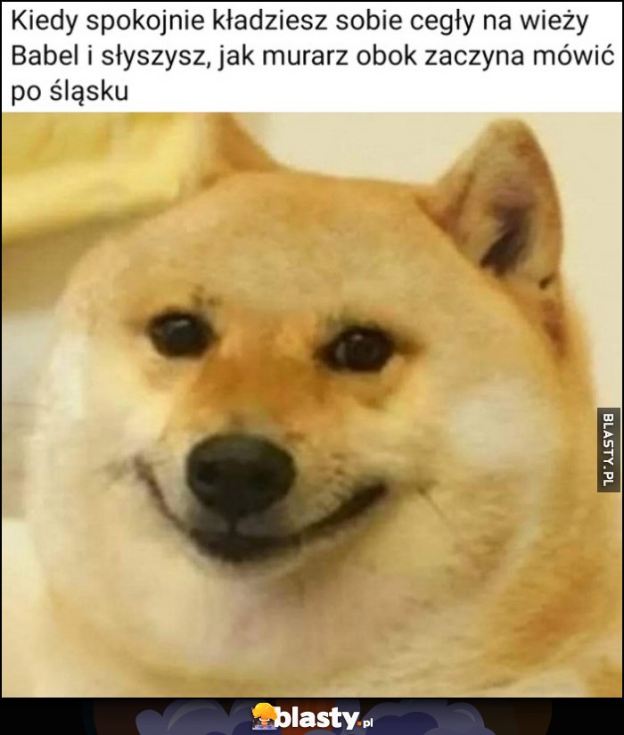 Kiedy spokojnie kładziesz sobie cegły na wieży Babel i słyszysz jak murarz obok zaczyna mówić po śląski pies pieseł doge Kiedy spokojnie kładziesz sobie cegły na wieży Babel i słyszysz jak murarz obok zaczyna mówić po śląski pies pieseł doge