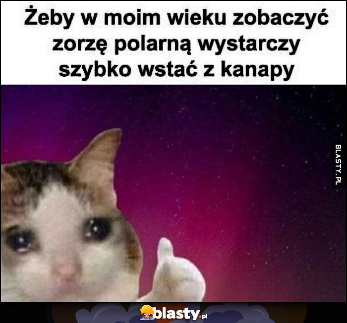 Żeby w moim wieku zobaczyć zorzę polarną wystarczy szybko wstać z kanapy kot kotek