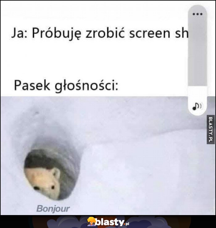 Ja: próbuję zrobić screenshota, pasek głośności: bonjour