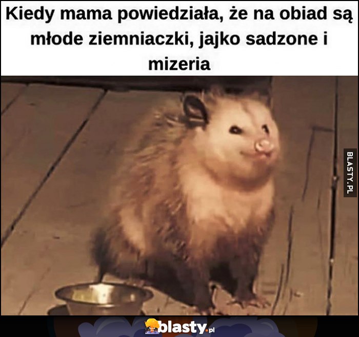 Kiedy mama powiedziała, że na obiad są młode ziemniaczki, jajko sadzone i mizeria zadowolony