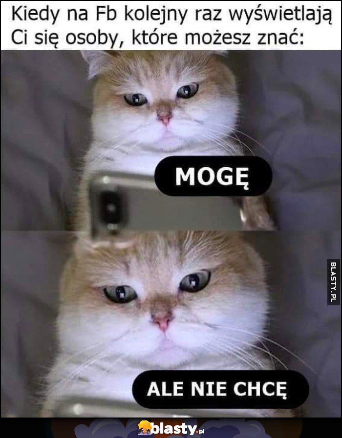 Kiedy na fb kolejny raz wyświetlają ci się osoby które możesz znać: mogę ale nie chcę kot kotek