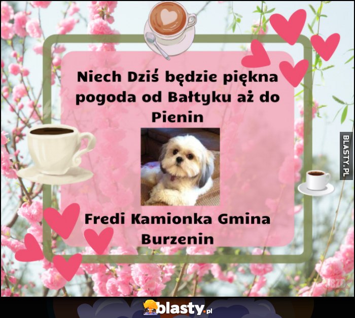 Niech dziś będzie piękna pogoda życzy Fredi Kamionka Gmina Burzenin