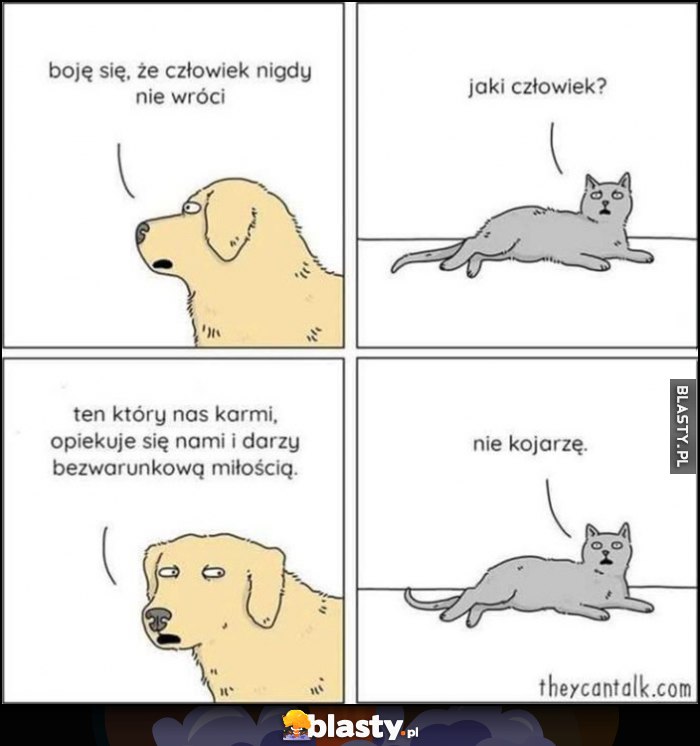 Pies: boję się że człowiek nigdy nie wróci. Kot: jaki człowiek? Pies: ten który nas karmi, kot: nie kojarzę Pies: boję się że człowiek nigdy nie wróci. Kot: jaki człowiek? Pies: ten który nas karmi, kot: nie kojarzę